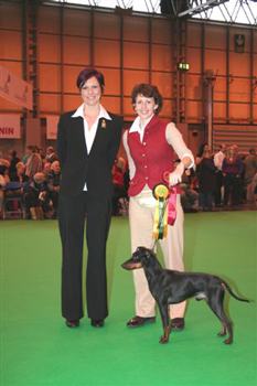 CRUFTS 2010 - Reserve Challenge Certificate Winner