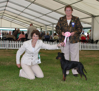 Stui winning the Terrier Puppy Group Aug 09